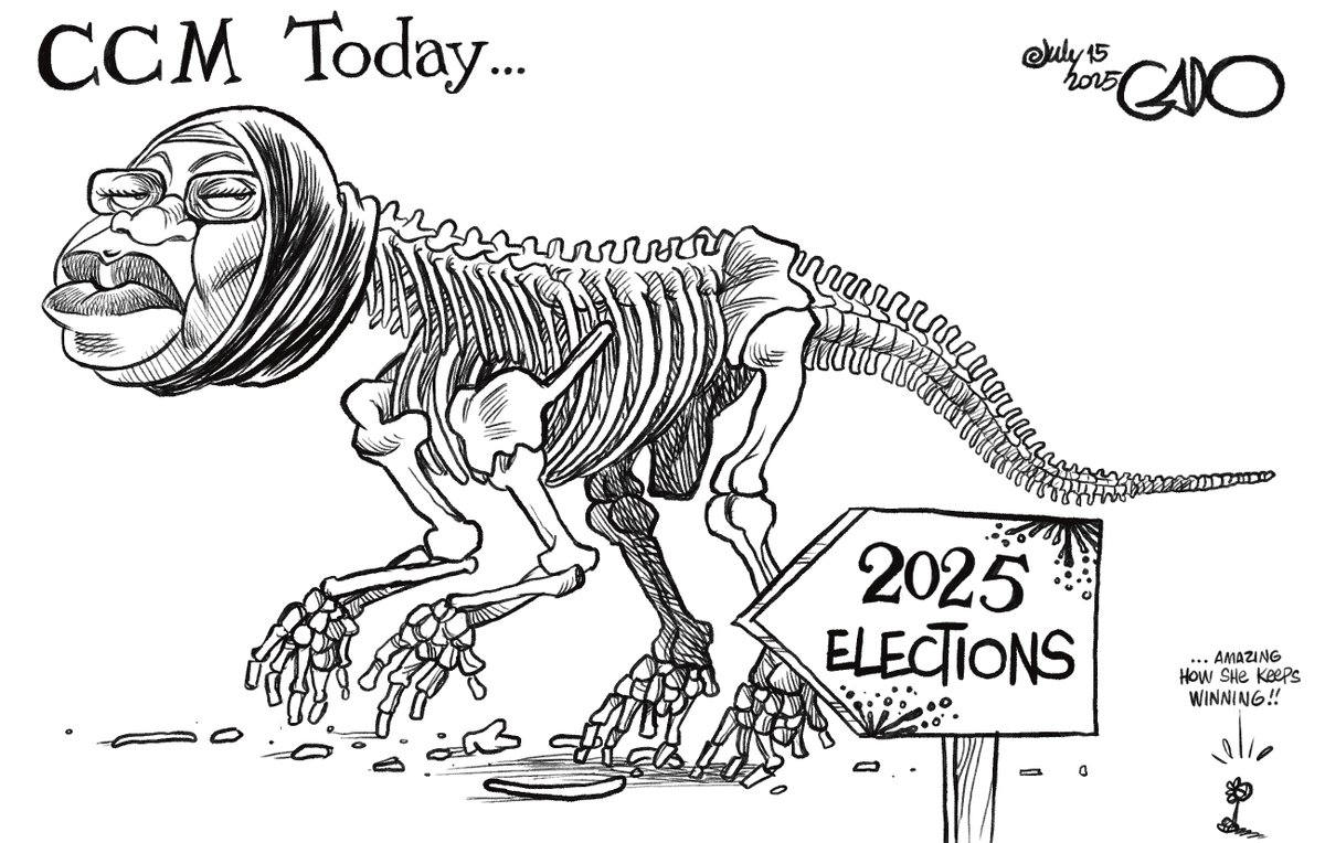 stream?key=Gado%2F150-2025Jul17