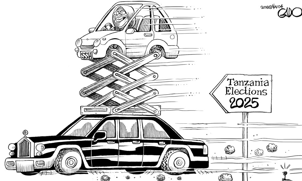 stream?key=Gado%2F330-2022Nov04