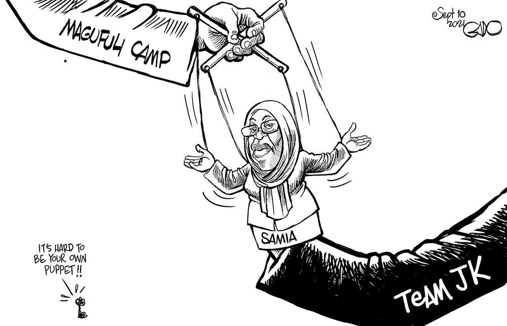 stream?key=Gado%2F380-2021Sep10