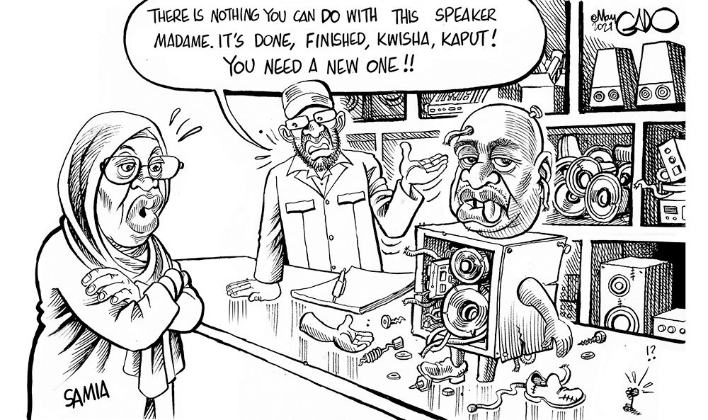 stream?key=Gado%2F410-2021May15