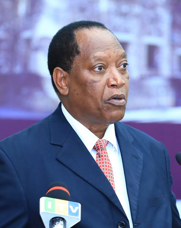 Palamagamba Aidan Mwaluko Kabudi